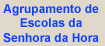 Agrupamento de Escolas da senhora da Hora